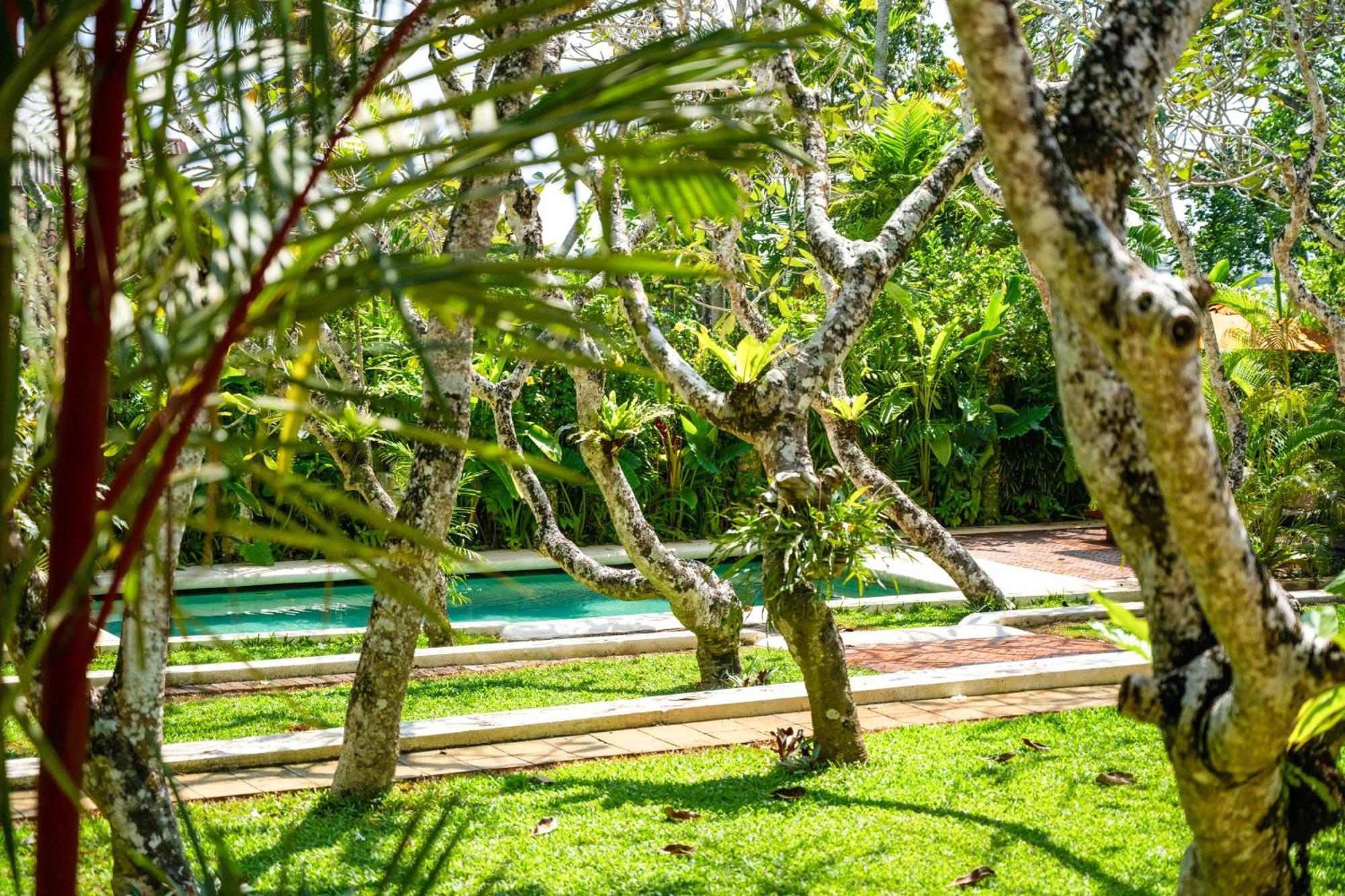 The Sun House Hotel Galle Ngoại thất bức ảnh